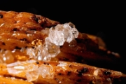 Quartz sur Barite